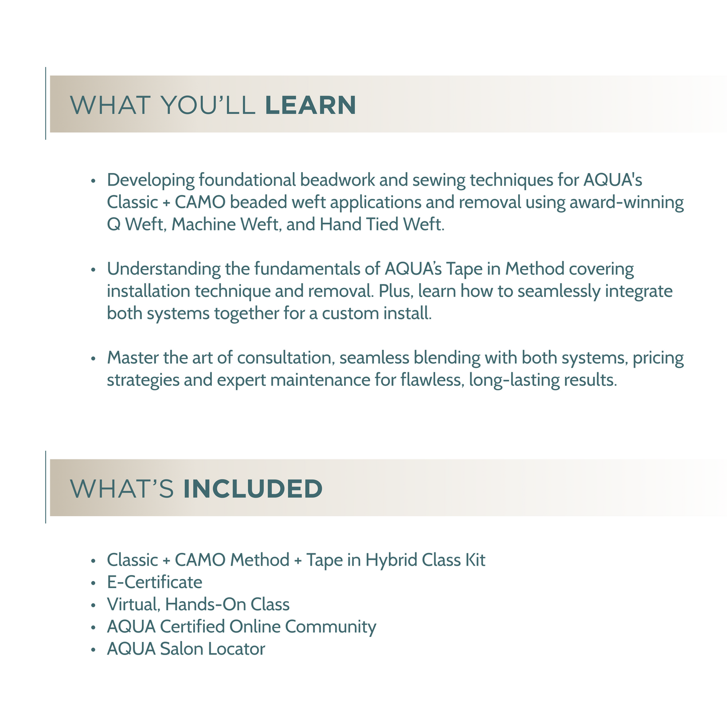 Classic + CAMO + Tape in Hybrid Class - Live Virtual Certification