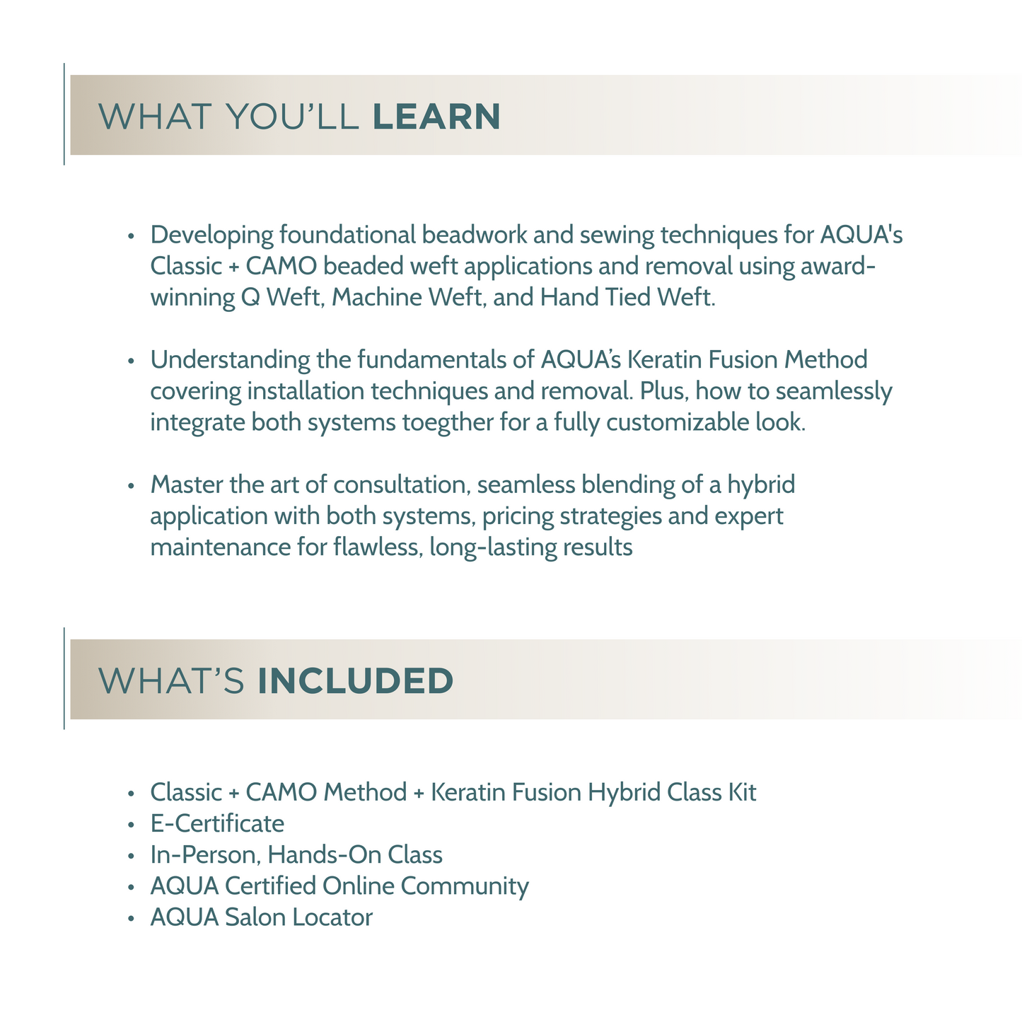 Classic + CAMO + Keratin Fusion Hybrid Class - In Person Certification