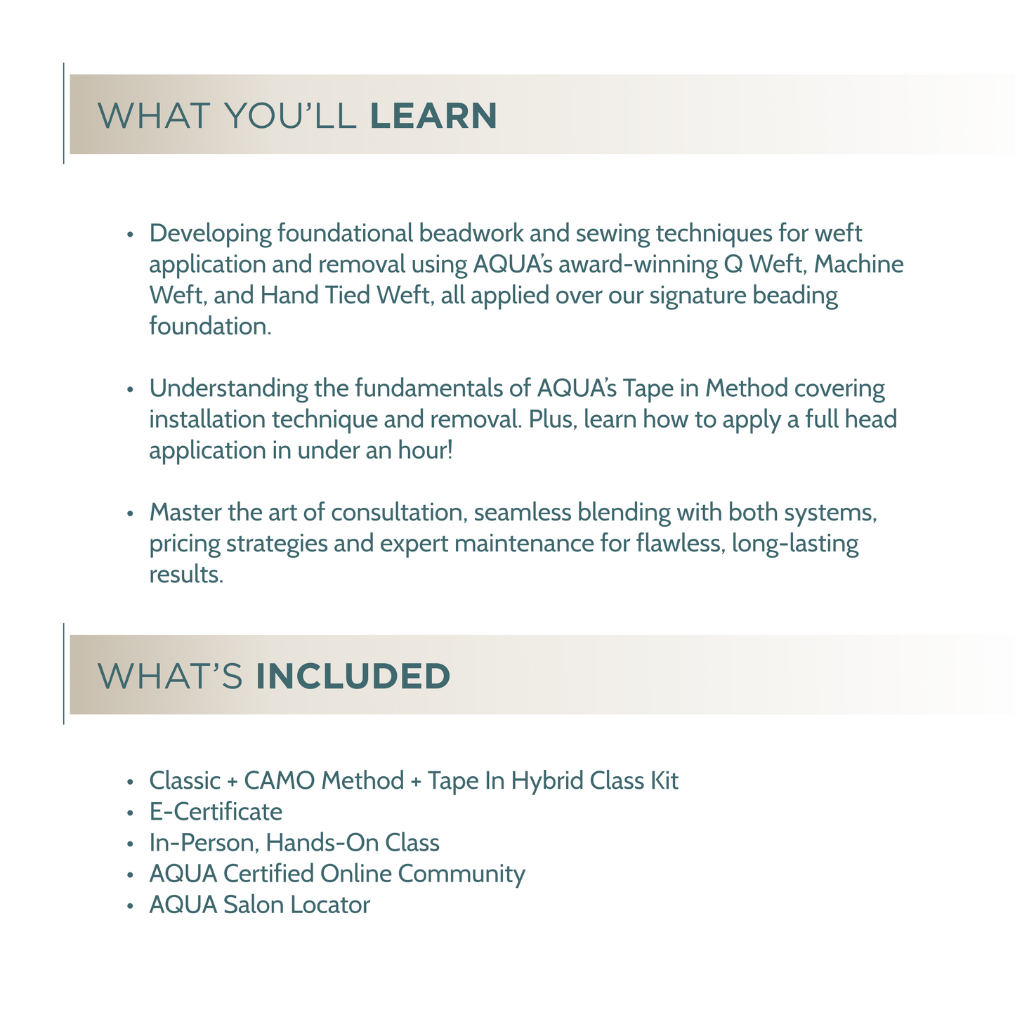 Classic + CAMO + Tape In Hybrid Class - In Person Certification