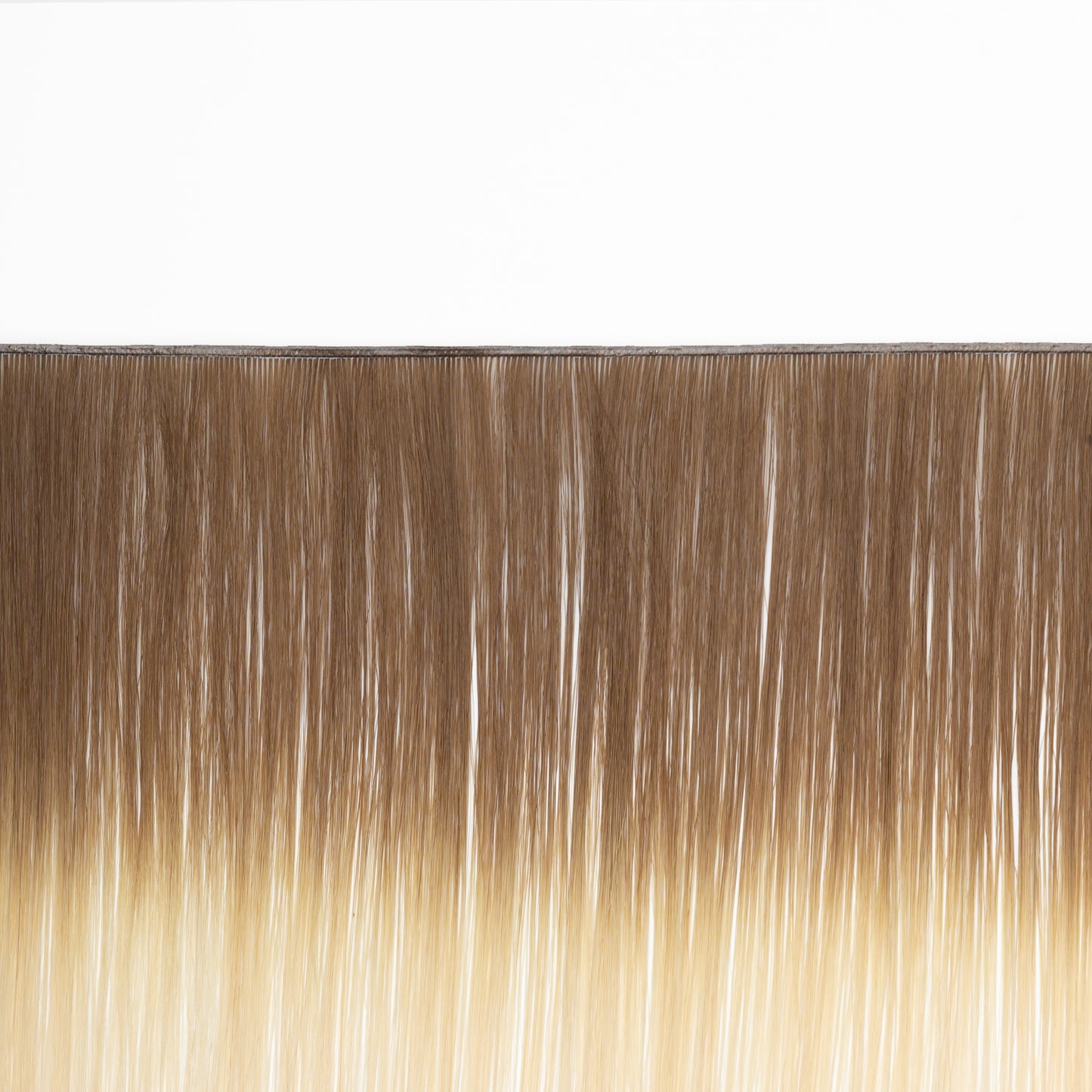 4/22 Rooted - Q Weft