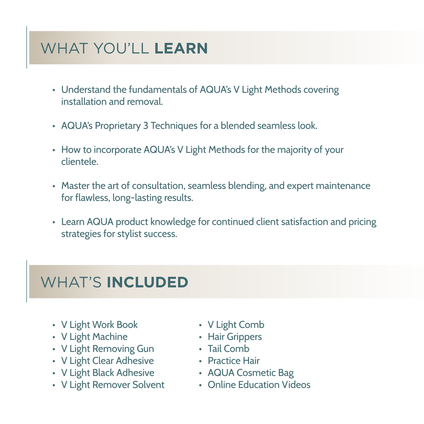 V Light Single Class - In Person Certification