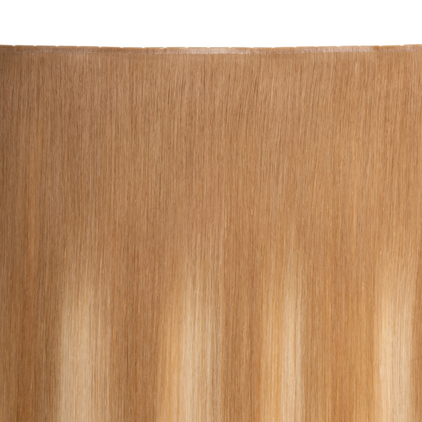 8/24 Balayage - No Sew Weft Extensions Straight