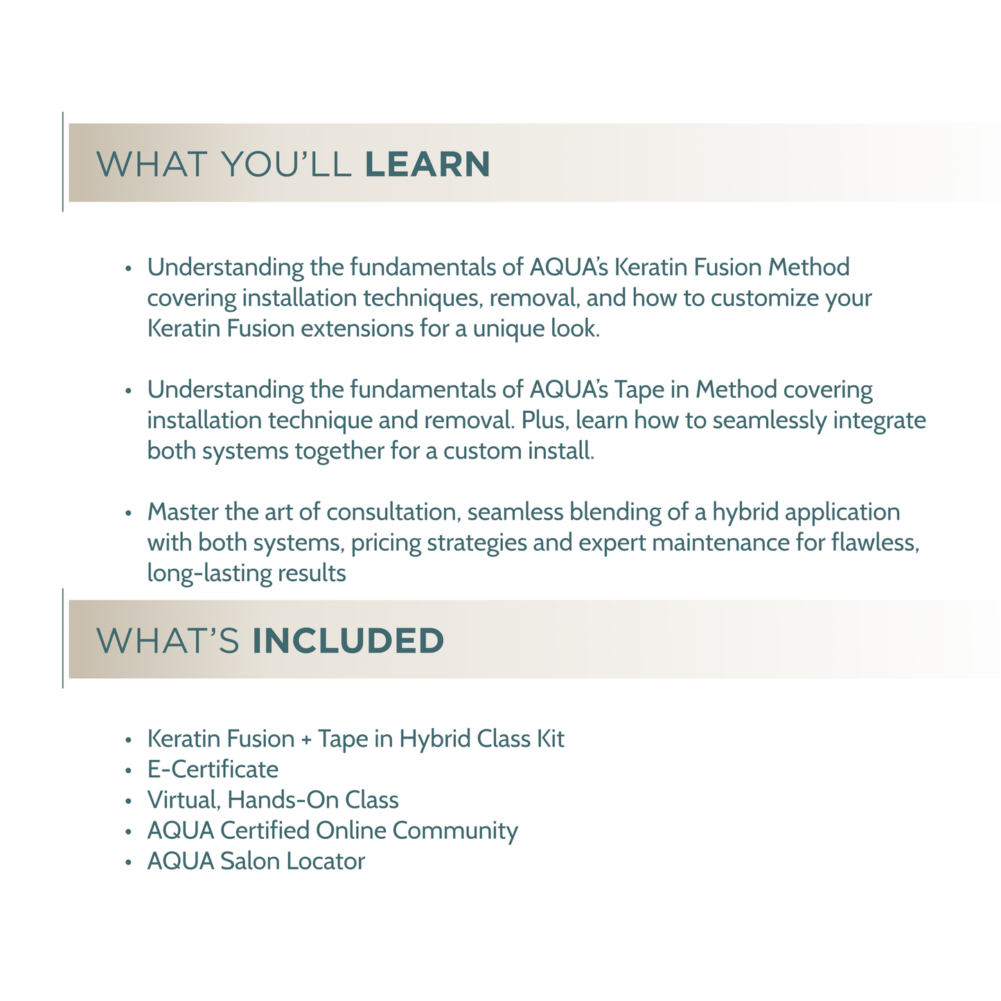 Keratin Fusion + Tape in Hybrid Class - Live Virtual Certification