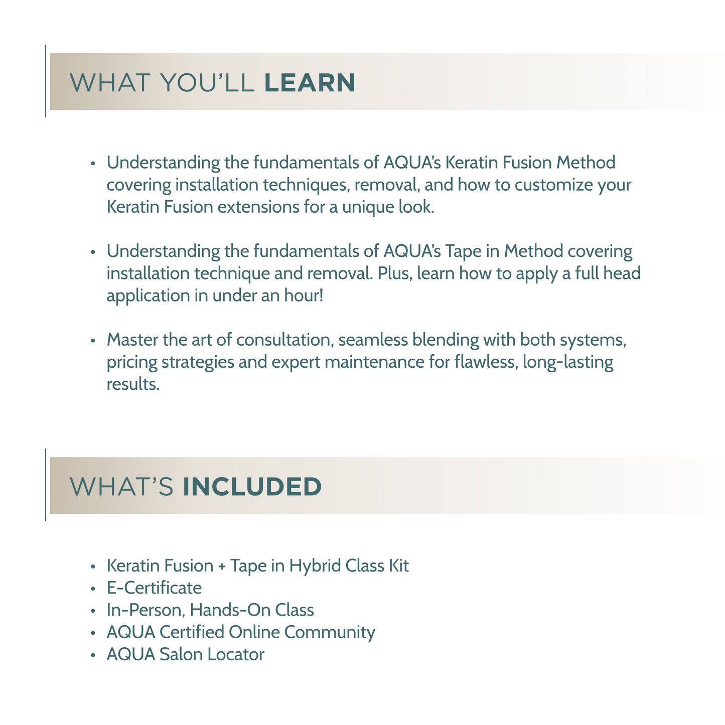 Keratin Fusion + Tape in Hybrid  Class - In Person Certification