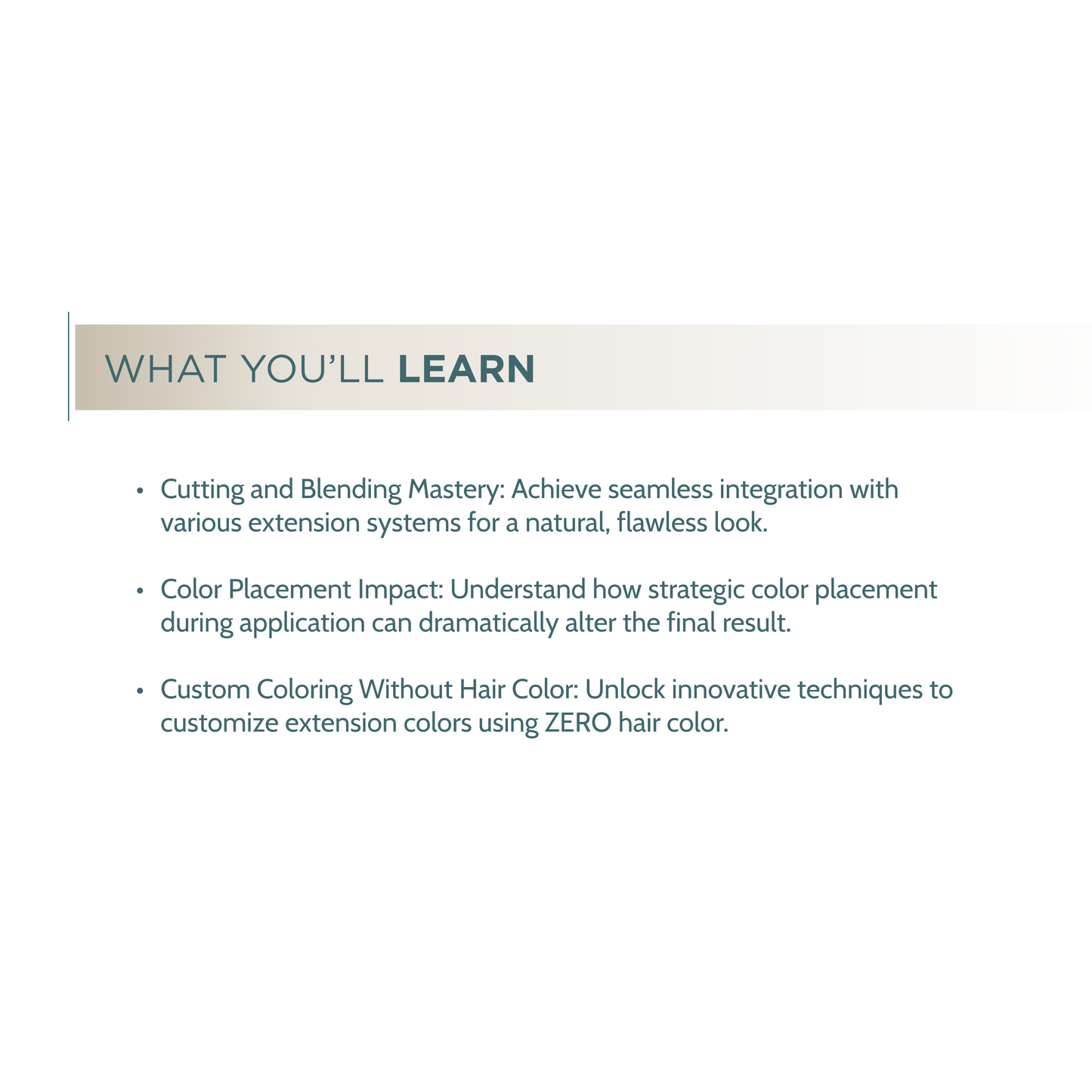 Look + Learn - Advanced Extensions Masterclass