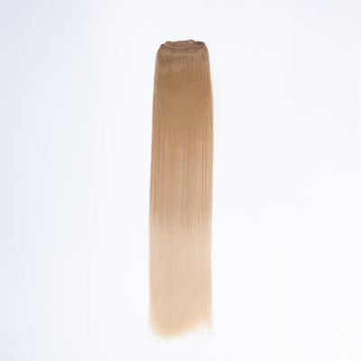 #8/24 Balayage - Straight Machine Weft