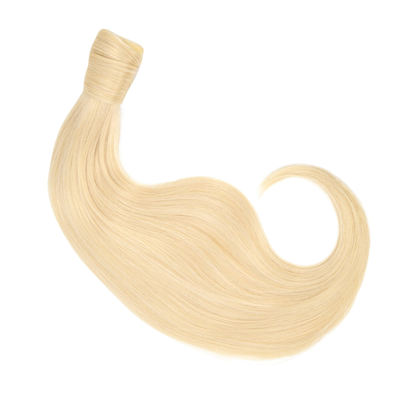 #24 AquaLyna Ponytail Hair Extension