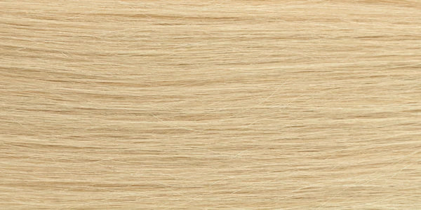 #24 Light Golden Blonde - Straight Q-Weft Hair Extension by Aqua Hair Extensions